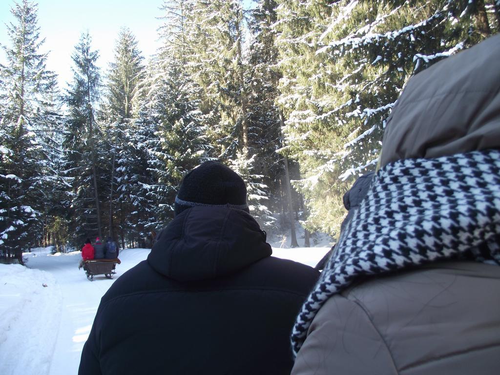 Cabana Piatra Runcului Vatra Moldoviţei Exterior foto